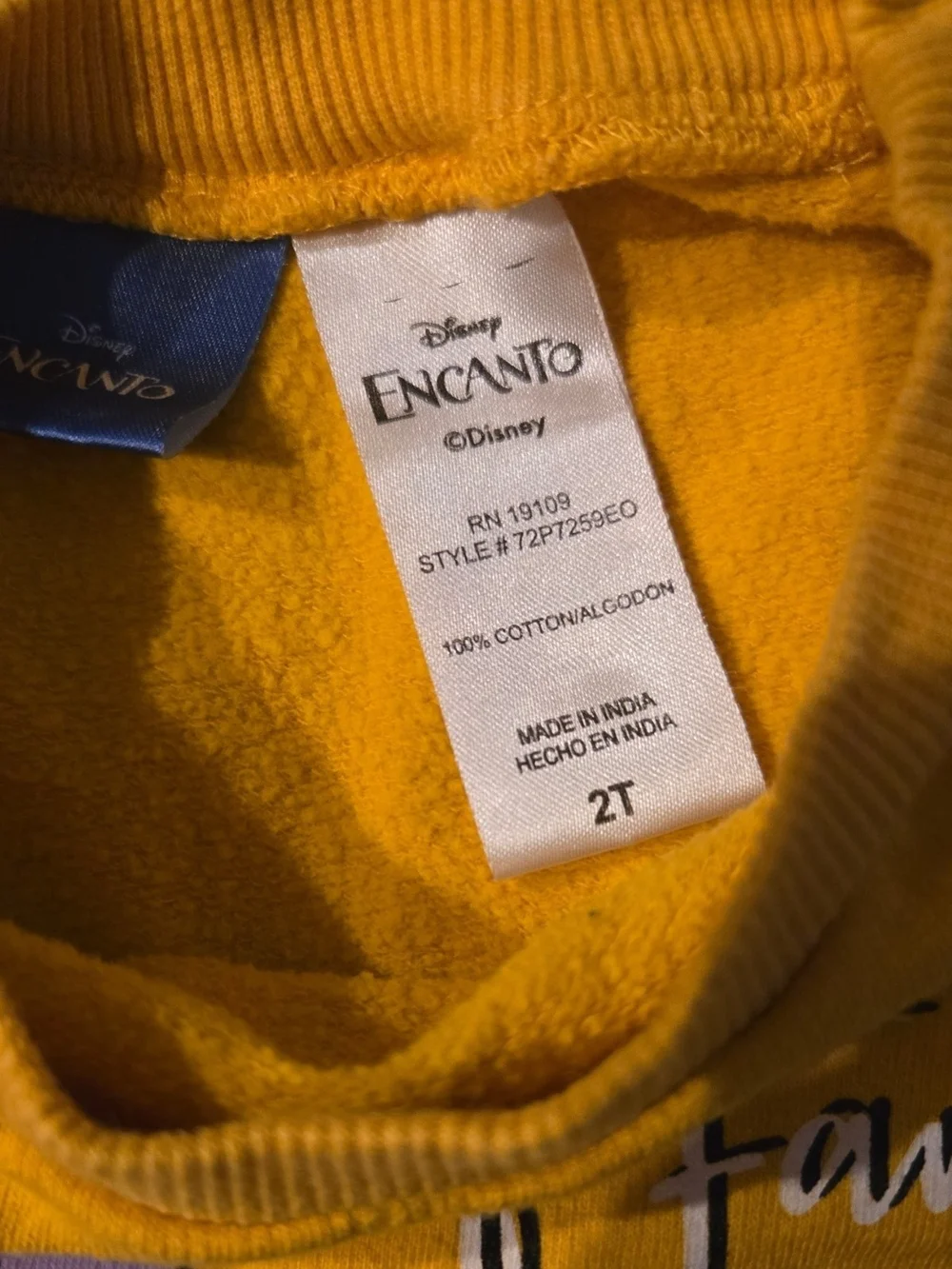 Disney encanto sweatshirt